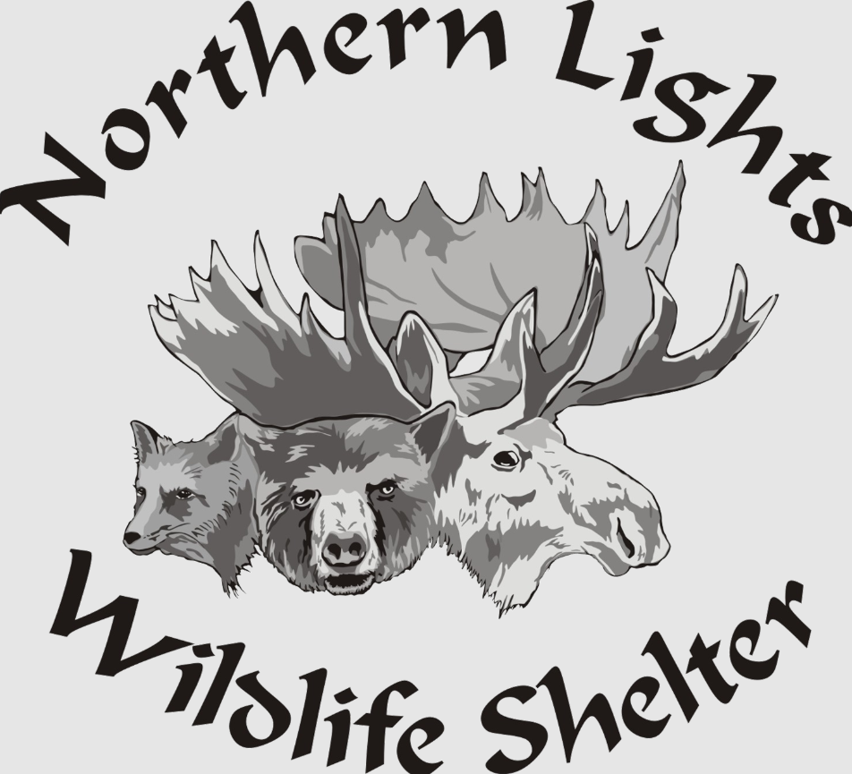 Windfall Second Chance