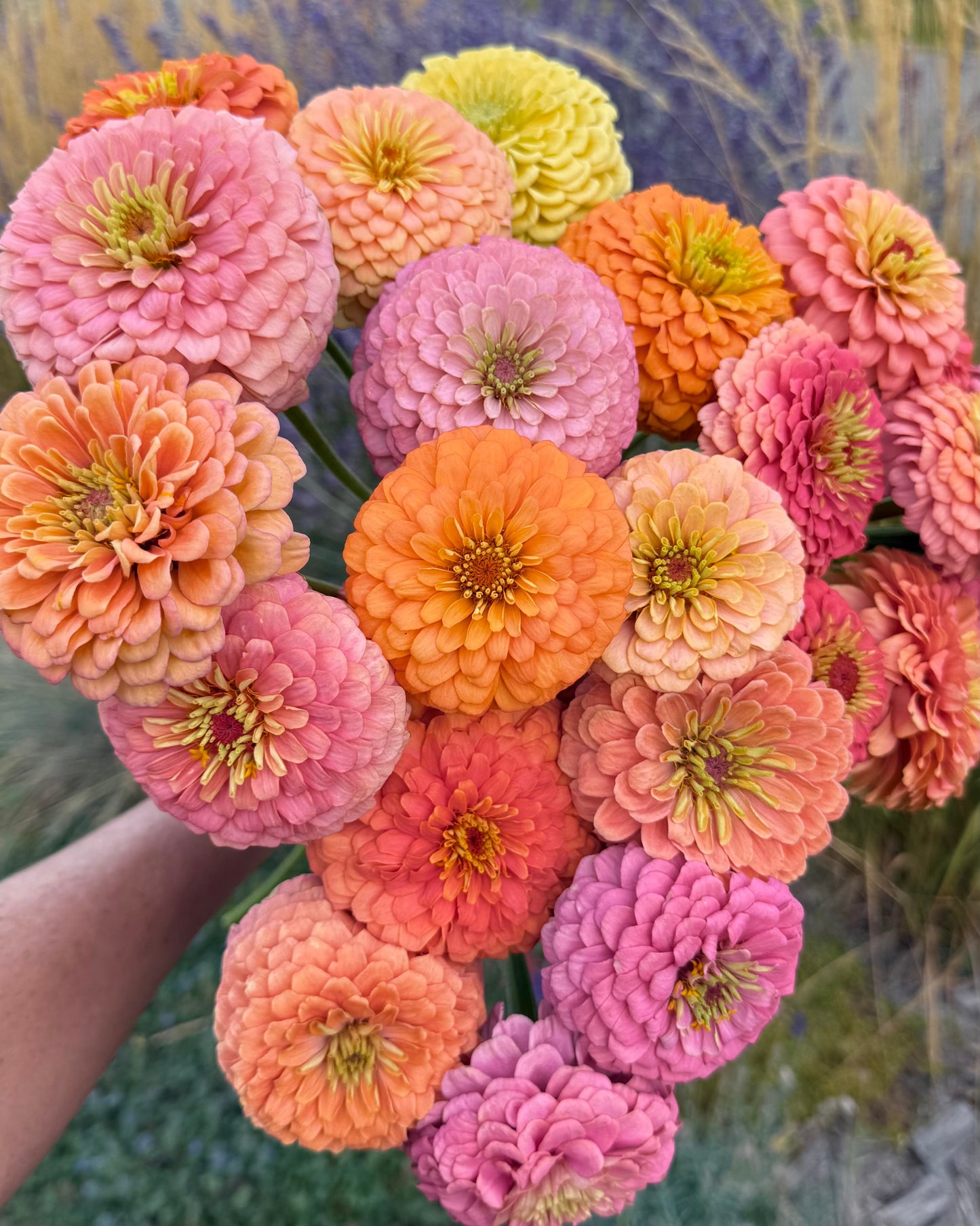 Bouquet of multicolored flowers held by a person with a blurred natural background