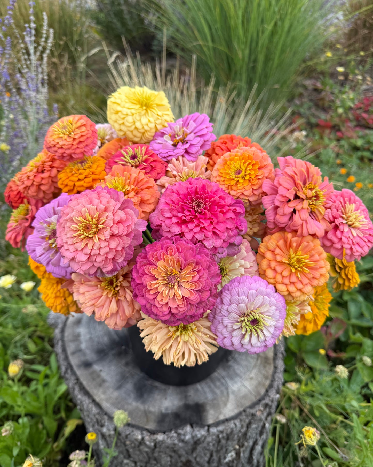 Windfall Second Chance